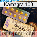 Kamagra 100 new06